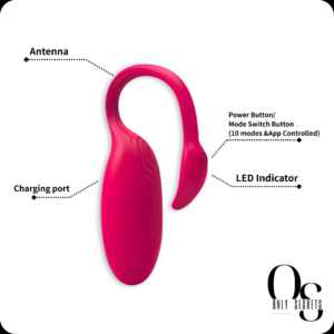 Magic Flamingo - Image 2